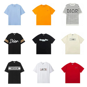 Dior embroidered short-sleeved T-shirt-5194